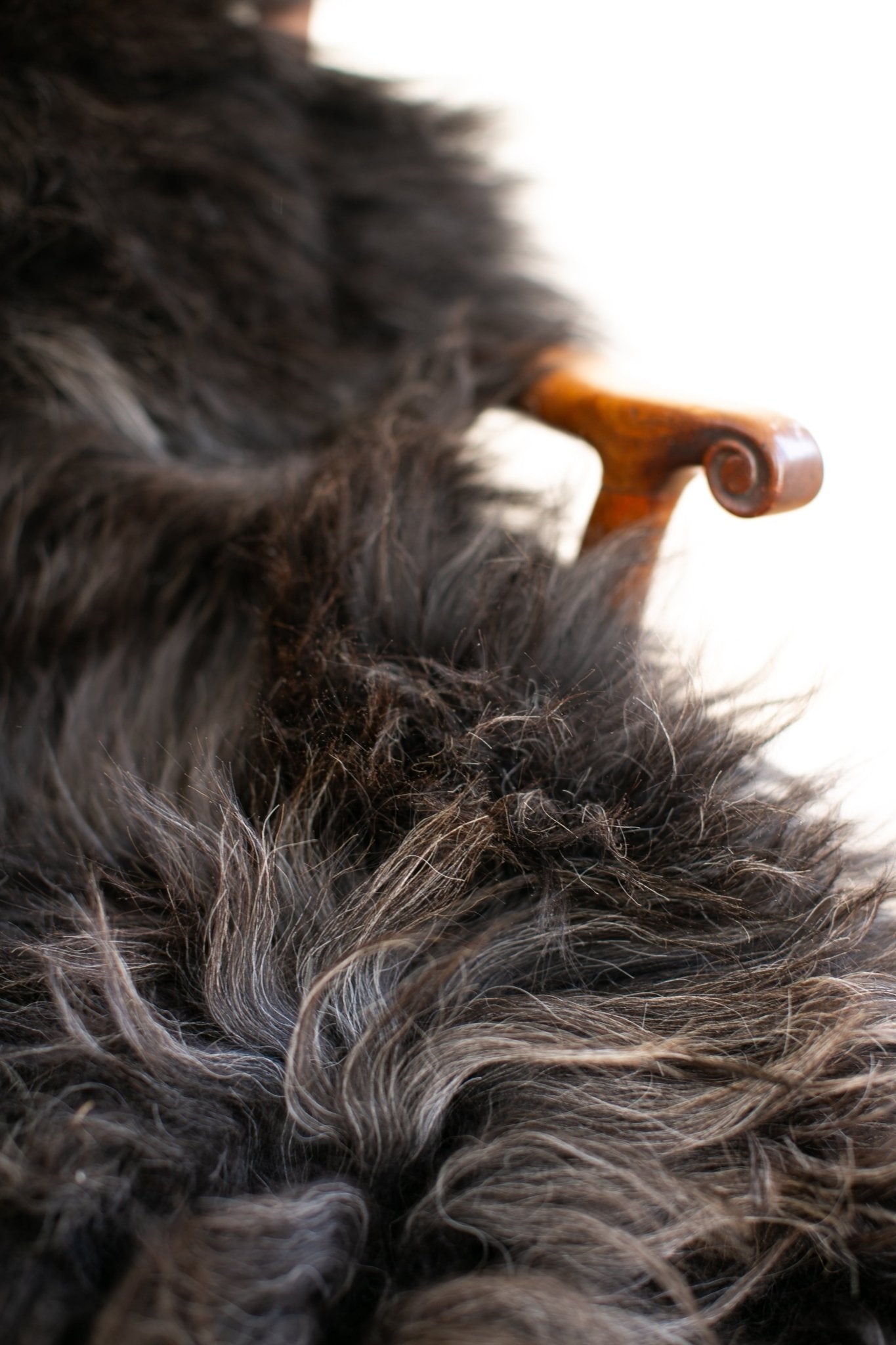 Icelandic Kolur