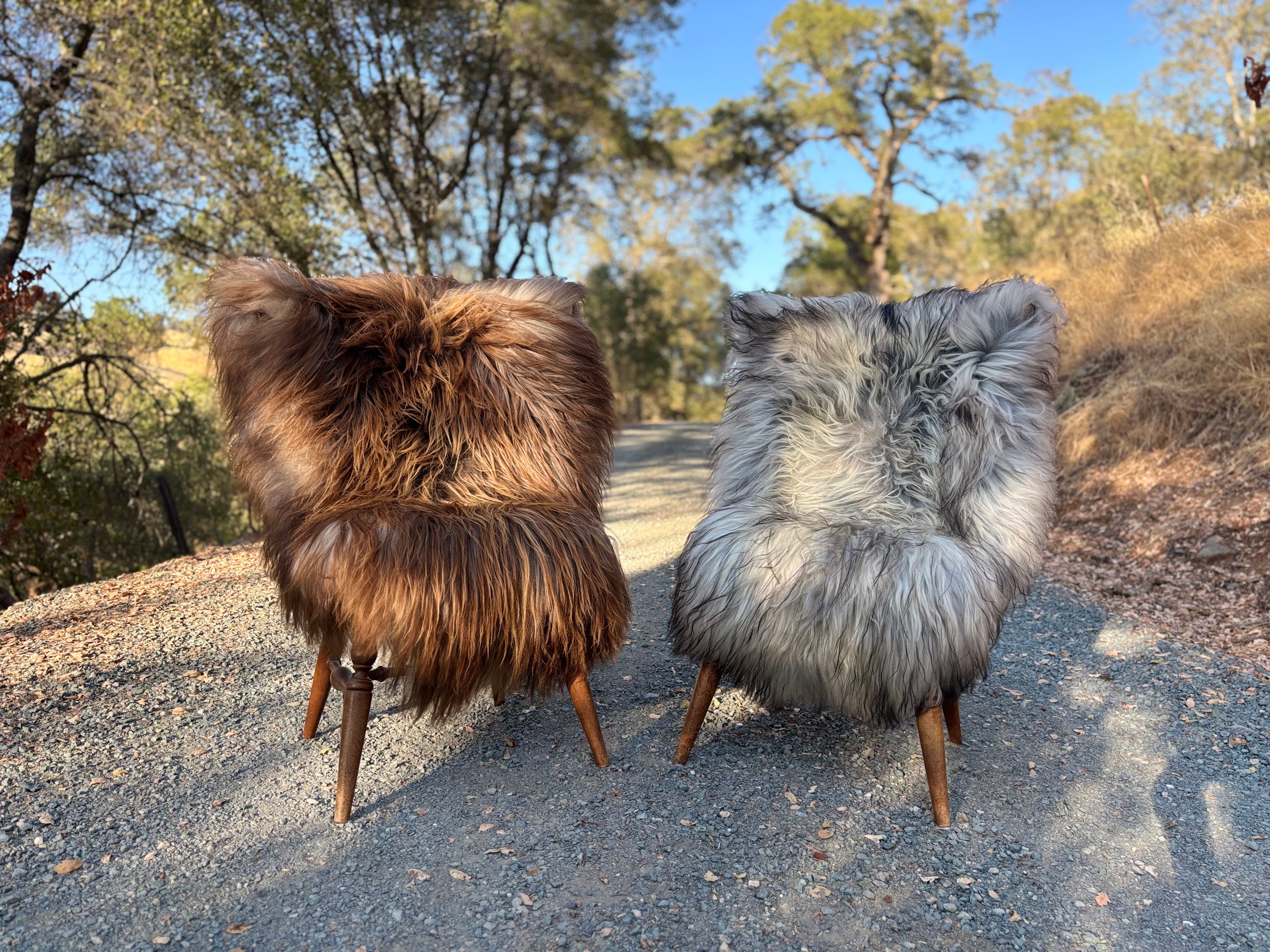 Two sheepskin rugs on a gravel path with trees in the background