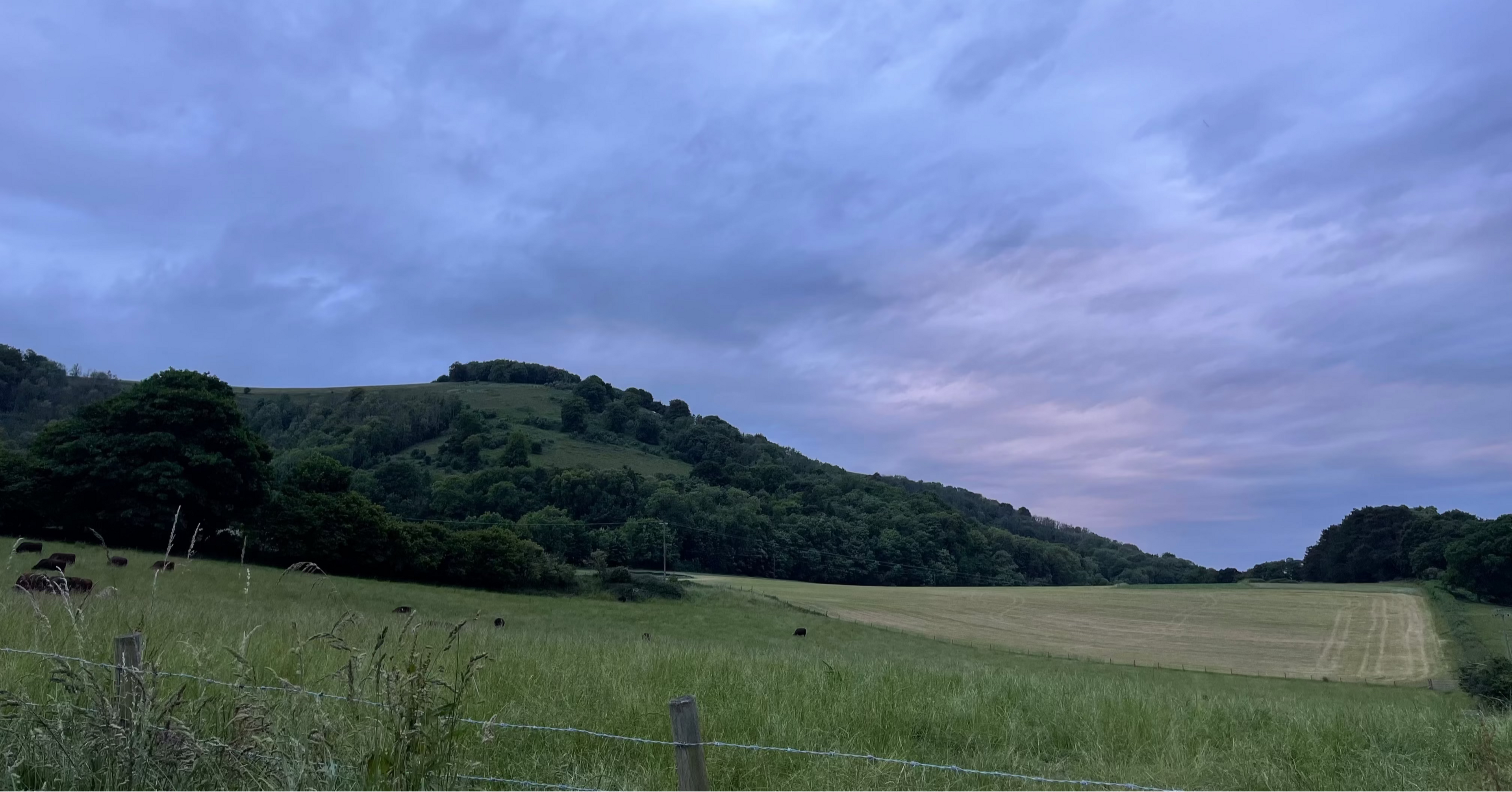 Landscape with a hill and field under a cloudy sky